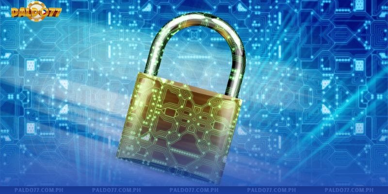 Paldo77 Commitments in the Privacy Policy