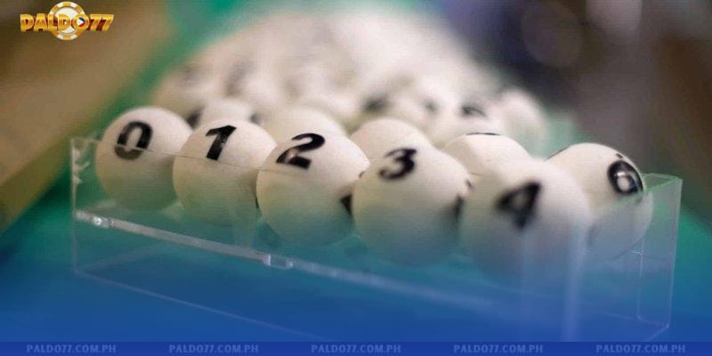 Paldo77 Lottery – A Modern Lottery Experience With Extremely Large Rewards
