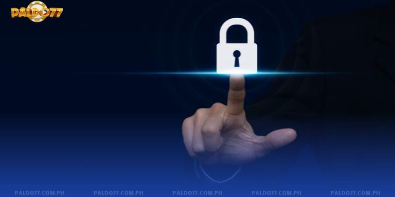 Paldo77 Privacy Policy