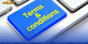 Terms and Conditions - The Official Rules for Players at Paldo77