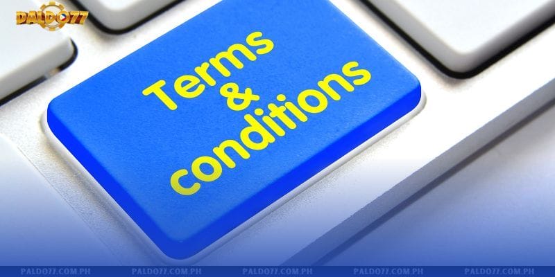 Terms and Conditions - The Official Rules for Players at Paldo77